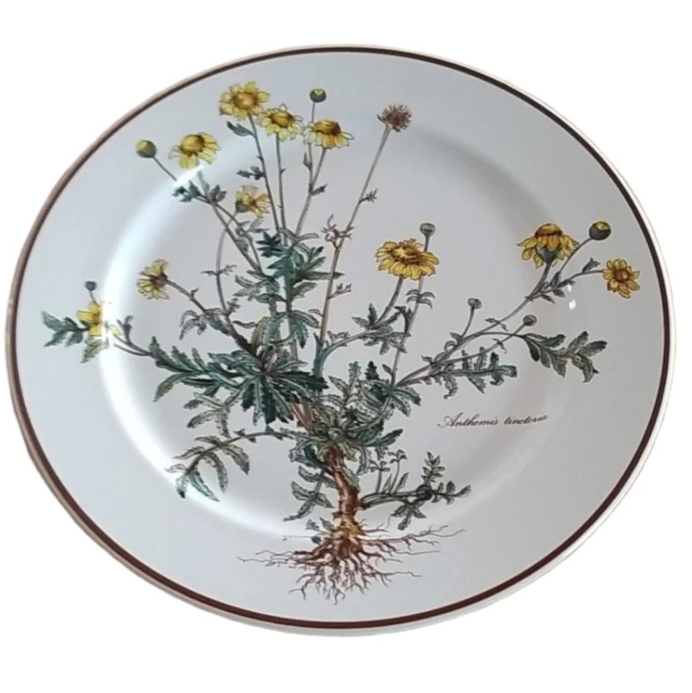 VILLEROY & BOCH Botanica Porcelain Dinner Plate